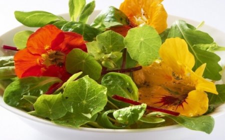 نظام غذائي مثالي للتقليل من أدوية ضغط الدم