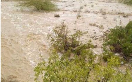 أمطار متفاوتة تهطل على أرياف ومرتفعات حضرموت وتسبب سيول خفيفة