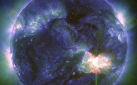 نيوزيلندا تتخذ إجراءات عاجلة لمواجهة العاصفة الشمسية الجيومغناطيسية الكبرى