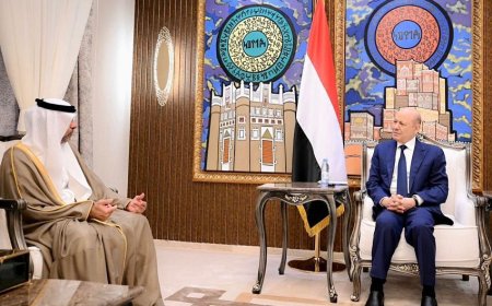 العليمي يستقبل السفير الإماراتي لدى اليمن