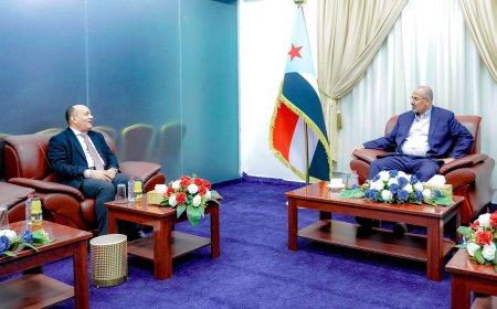 الرئيس الزُبيدي يوجّه بسرعة إيجاد آلية عادلة تضمن استقرار أسعار بيع الروتي