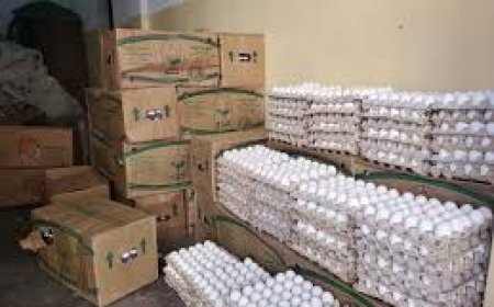 بدء تطبيق تسعيرة موحدة للبيض في ساحل حضرموت ابتداءً من اليوم