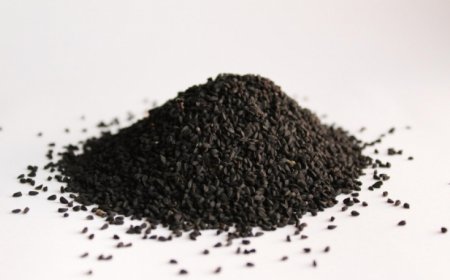 ماذا يحدث لجسمك عند تناول حبة البركة على الريق يوميا؟