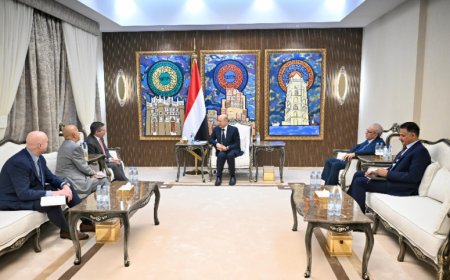 العليمي يستقبل السفير الأمريكي لدى اليمن