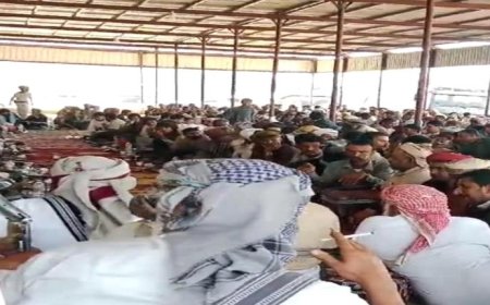 تحكيم قبلي ينهي قضية شائكة بشبوة