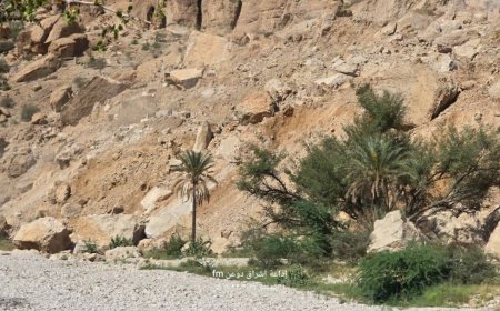 تحذيرات من خطر تجدد سقوط الصخور في وادي دوعن ودعوات لتدخل فوري