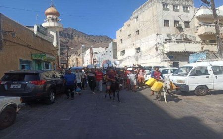 بالحمير.. مظاهرة حاشدة في عدن للمطالبة بتوفير المياه بعد انقطاعها لأكثر من شهر