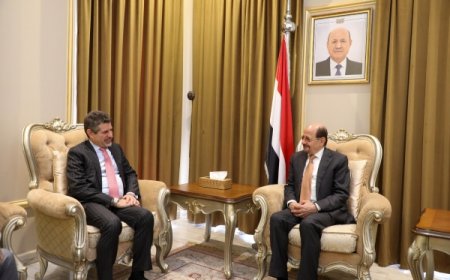 مباحثات يمنية أمريكية حول جهود السلام وخفض التصعيد