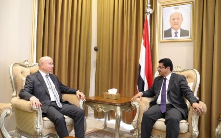 تركيا تجدد دعمها للحكومة اليمنية وجهود المبعوث الأممي لإحلال السلام