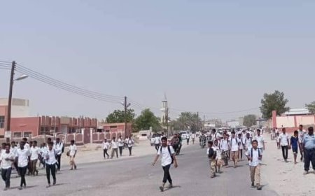 صحفي يحذر من استغلال الطلاب في المظاهرات