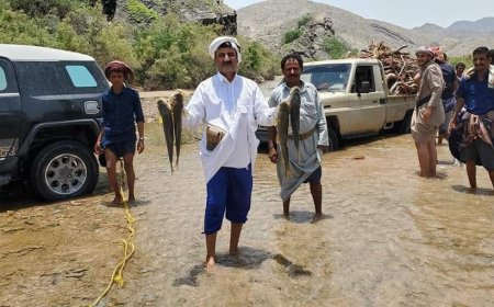 مأرب.. هل يصطاد سكان رحبة الأسماك من الأنهار؟ مصدر يوضح الأسباب