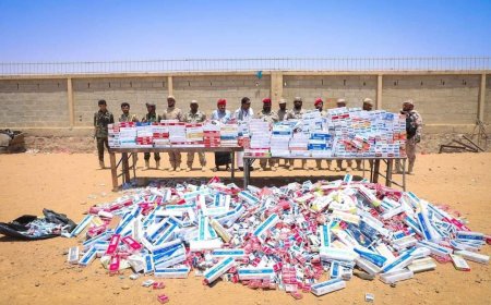 قوات درع الوطن تتلف 22 ألف علبة سيجارة في منفذ الوديعة 