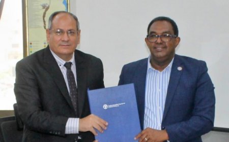 الأمم المتحدة توقع مع مصر شراكة لتنفيذ تدريبات في مجال الزراعة باليمن