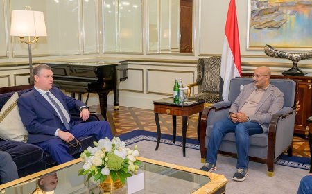 اتفاق بين طارق صالح والجانب الروسي