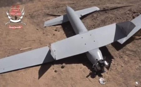 شاهد بالصورة.. إسقاط طائرة في سماء هذه المحافظة الجنوبية