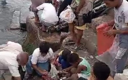 صيادون في المكلا يوزعون الأسماك مجاناً رغم ارتفاع الأسعار