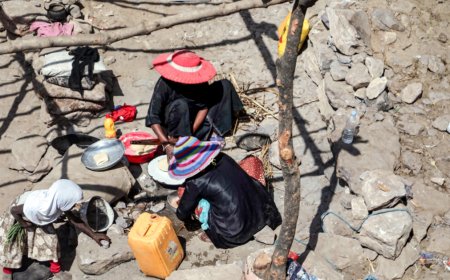 الهجرة الدولية: تراجع ملحوظ في أعداد النازحين داخلياً باليمن