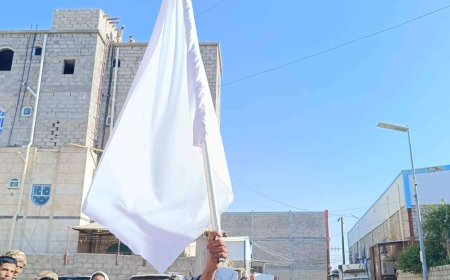 محافظة يمنية ترفع الراية البيضاء.. ما القصة؟