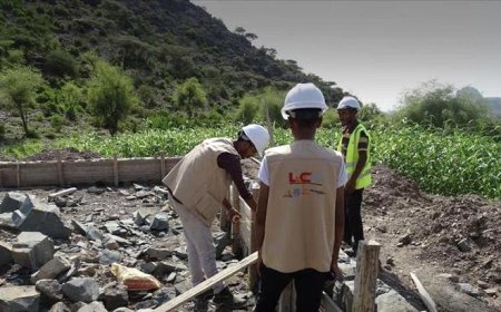 تضرر 85 %‎ من الأراضي الزراعية جراء الفيضانات في اليمن