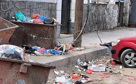 أكوام القمامة تحاصر مكتب حكومي في عدن وسط إطلاق مناشدات عاجلة