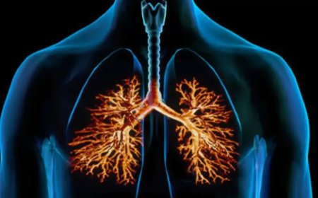 مشروبات سحرية لتعزيز صحة جهازك التنفسي.. كيف تقاوم البرد والسعال بشكل طبيعي