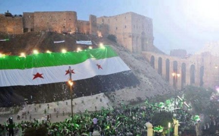 فصائل المعارضة تسيطر على معرة النعمان وتواصل تقدمها في حلب 