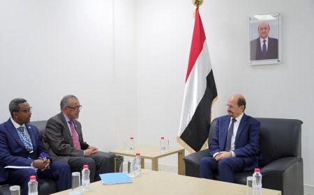 هل سيؤثر لقاء الزنداني بمدير الصحة العالمية على مستقبل القطاع الصحي في اليمن؟