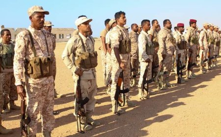 مصدر مقرب من قيادة التحالف: الحوافز المالية للنخبة الحضرمية مستمرة دون تغيير