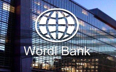 البنك الدولي يقدّم 30 مليون دولار لدعم التعليم والخدمات المالية الرقمية في اليمن