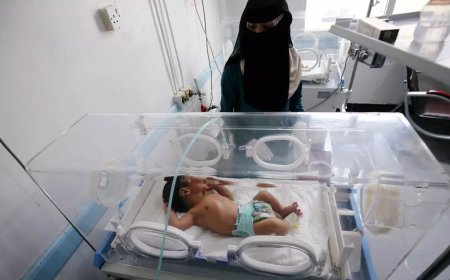 3 طبيبات يمنيات يتصدرن المراكز الأولى في (البورد العربي) لتخصص أمراض النساء والولادة