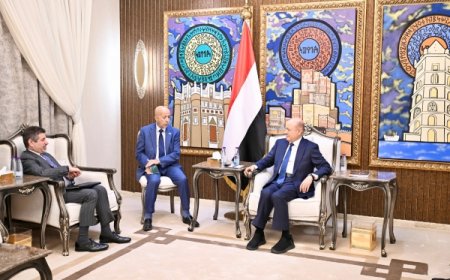 العليمي يبحث مع السفير الأمريكي الهجمات الحوثية على الملاحة الدولية