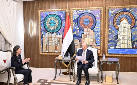 الرئيس العليمي يتلقى دعوة خاصة من الرئيس الفرنسي ماكرون لزيارة فرنسا