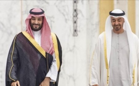 السعودية والإمارات تبحثان فرص تطوير التعاون والسلام بالشرق الأوسط