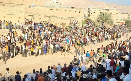 سباق الهجن السنوي في تريم يجذب جماهير غفيرة