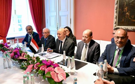 من ميونخ.. ظهور جديد للفريق الركن محمود الصبيحي إلى جانب الرئيس العليمي