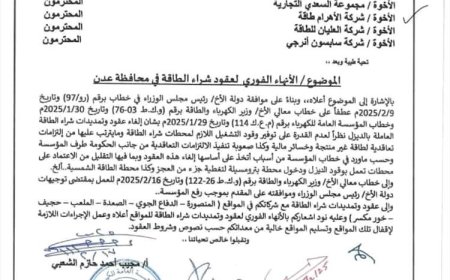 الحكومة تقرر إنهاء عقود شراء الطاقة في عدن ضمن خطة إصلاح شاملة.. وثيقة