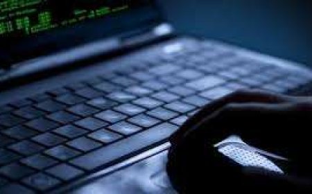 ناشطة وهمية تجمع 200 ألف ريال سعودي من سياسيين وإعلاميين وتختفي في أمريكا.. ما القصة؟