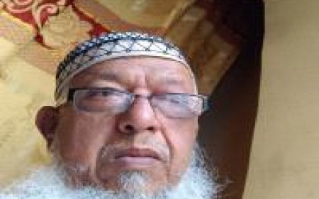 لقد حان فصل القطاف