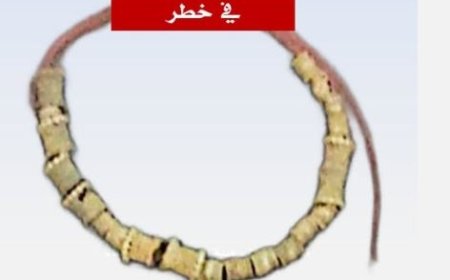 باحث يكشف عن فقدان عقد أثري ذهبي عمره 2700 عام من مخازن متحف سيئون