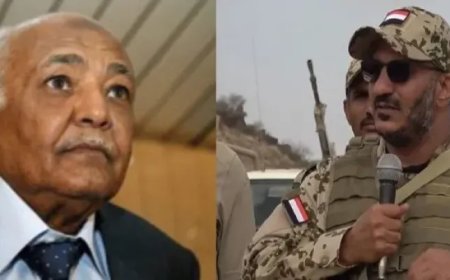 طارق صالح يكشف تفاصيل مكالمته مع محمد سالم باسندوة.. ماذا قال له؟