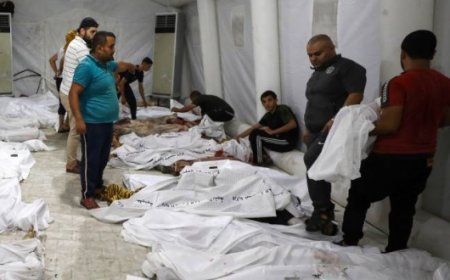 صحة غزة: ارتفاع حصيلة شهداء العدوان الإسرائيلي إلى 67 ألفًا و74 شهيدًا