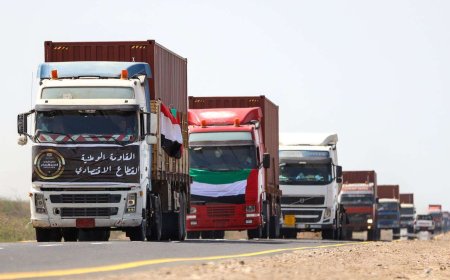 طارق صالح يعلن عن وصول شحنة أخرى لكهرباء المخا