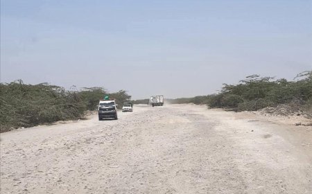 العميد ناصر عبدربه منصور هادي يتكفّل بصيانة الطريق الدولي في أبين استجابةً لمبادرة مجتمعية