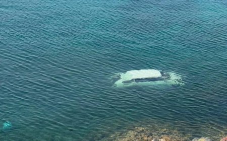 مأساة على طريق خلف بالمكلا.. سيارة تهوي إلى البحر والبحث عن ناجين مستمر