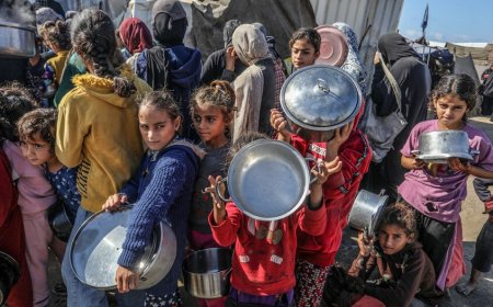 بينهم أطفال.. ارتفاع ضحايا المجاعة في غزة إلى 19 خلال يوم