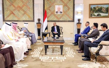 بن بريك يبحث مع مجلس التعاون دعم بلادنا في مواجهة تحديات المرحلة الحرجة