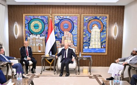 في لقائه مع السفير الأمريكي.. العليمي يحث على تحرك دولي عاجل ضد الحوثيين