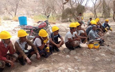 برعاية محافظ حضرموت.. تدشين أول مشاريع الفاو الزراعية في مديرية يبعث بتمويل هولندي