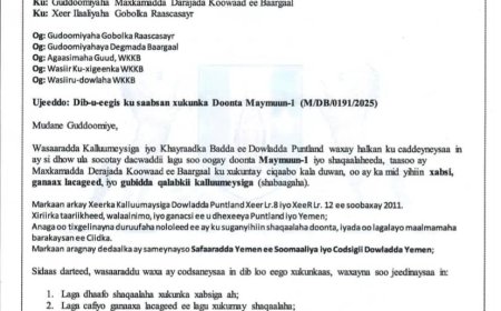 وثيقة رسمية.. الإفراج عن الصيادين اليمنيين في بونتلاند وإسقاط الغرامات