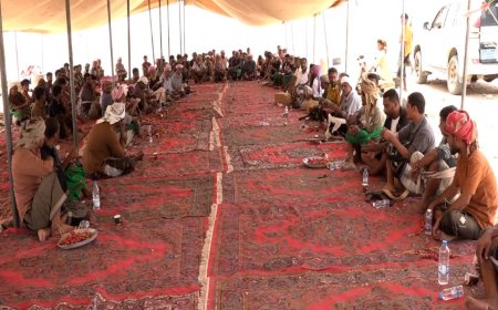 اجتماع لقبائل سيبان يقر خطوات لتأمين أراضي العصارنة ويدعو لسحب المجندين (تفاصيل)